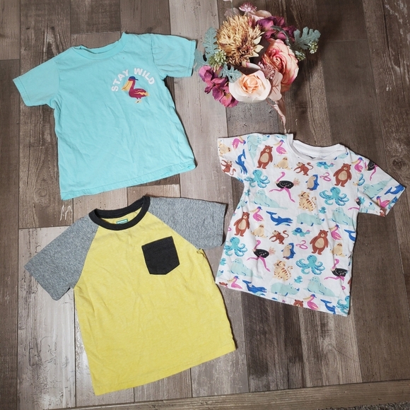 Alex & Jack and Garanimals Size 4T Boys Short Sleeve Casual T-Shirt Bundle GUC - Picture 2 of 15